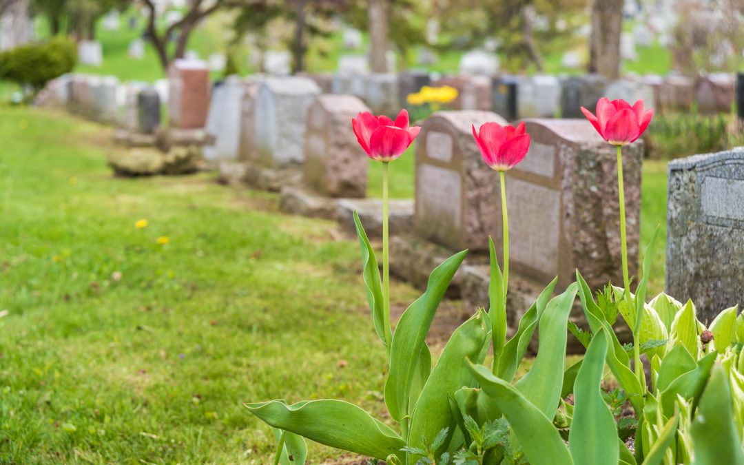 Navigating End-of-Life Choices Through Headstone Selection